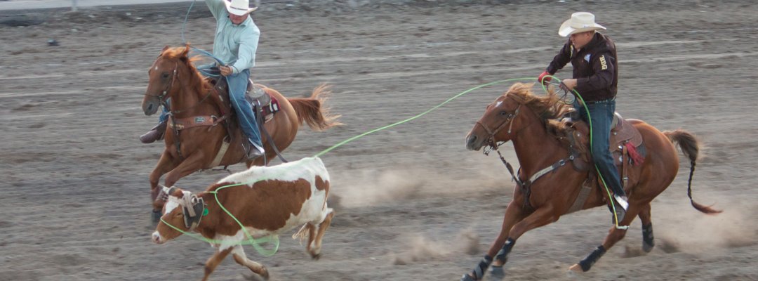 NW MT Fair