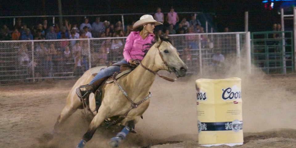 Photos (Recent Years)