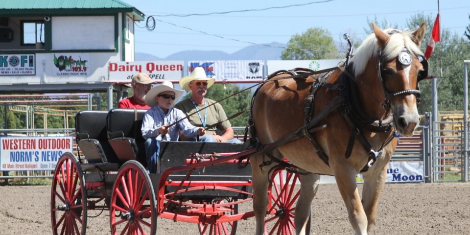 Photos (Recent Years)